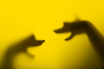 Image showing Shadow hand puppets (Dog's heads)