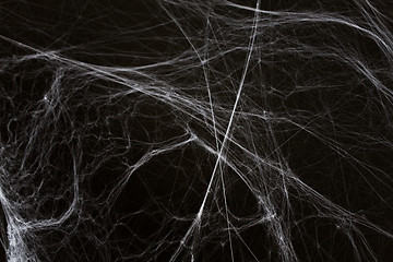 Image showing halloween decoration of spider web over black