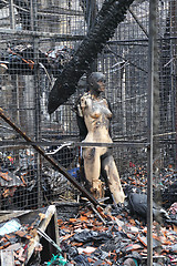 Image showing Burned mannequin