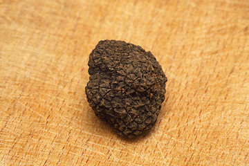 Image showing Truffle