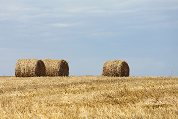 Image showing Hay bales