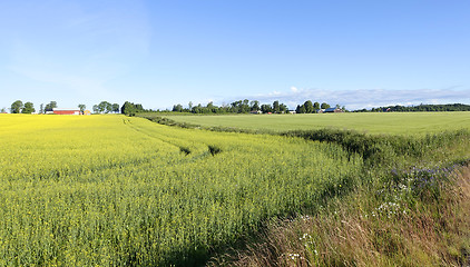 Image showing Farmland