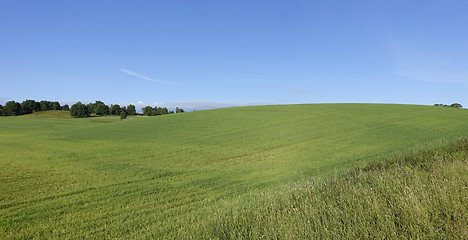 Image showing Farmland