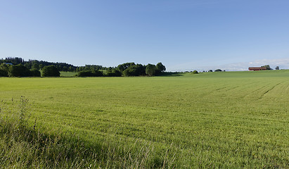 Image showing Farmland