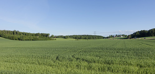 Image showing Farmland