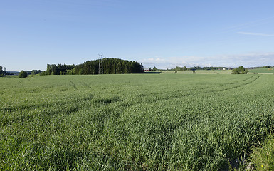 Image showing Farmland