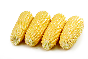 Image showing Four corn crops
