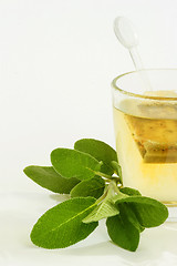Image showing Herbal tea