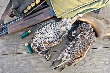 Image showing Grouse and rifle with cartridges on board