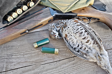 Image showing Grouse and gun on board