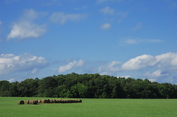Image showing Peaceful Meadow