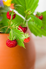 Image showing Ripe strawberries and a bouquet of forest flowers in a clay mug