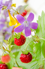 Image showing Summer bouquet of forest flowers and strawberries