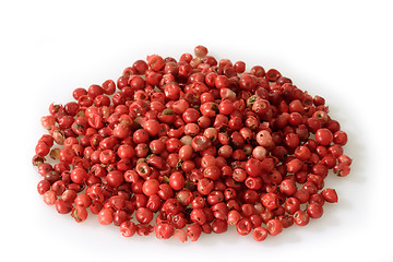 Image showing Red peppercorn