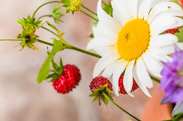 Image showing Summer bouquet of forest flowers and strawberries