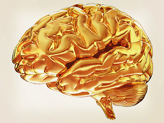 Image showing Gold brain. 3d render. Vintage style.