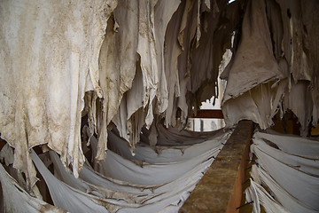 Image showing Old tannery in Fez, Morocco