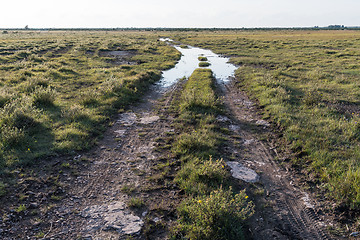 Image showing Muddy country road