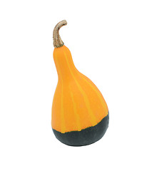 Image showing Smooth pear-shaped orange and green ornamental gourd