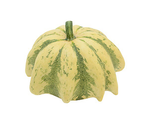 Image showing Crown of Thorns ornamental gourd with green stripes