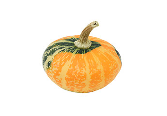 Image showing Small green and orange disc-shaped ornamental gourd 