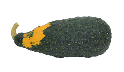 Image showing Large dark green ornamental gourd with orange patch