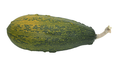 Image showing Large green warty ornamental gourd