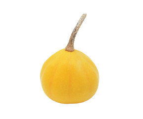 Image showing Small yellow ornamental gourd
