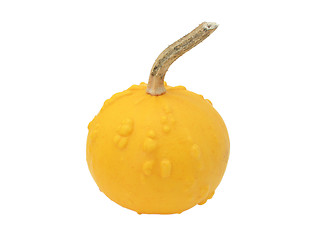 Image showing Round orange ornamental gourd with warty lumps