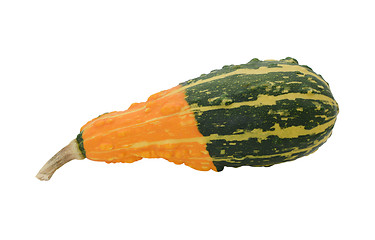 Image showing Pear-shaped ornamental gourd with orange and green stripes