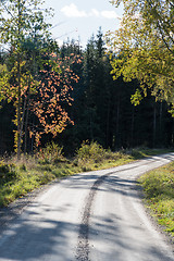 Image showing Gravel road in fall colors