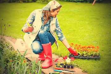 Image showing middle-aged woman planting flowers