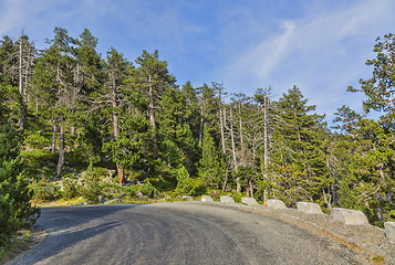 Image showing Scenic Road