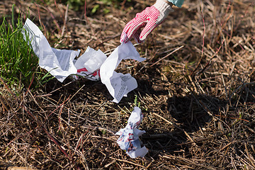 Image showing volunteer hand cleaning area from garbage