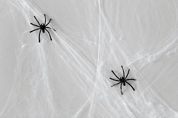 Image showing halloween decoration of black toy spiders on web