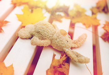 Image showing toy rabbit on bench in autumn park