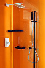 Image showing Orange shower