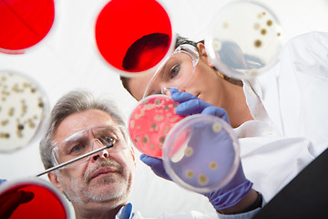 Image showing Life scientists researching in the health care laboratory.