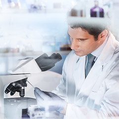 Image showing Life scientist researching in the laboratory.