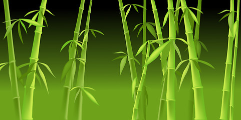 Image showing chinese bamboo trees