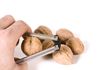 Image showing Cracking Walnuts