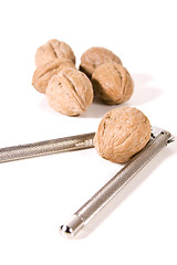 Image showing Close up on Walnuts