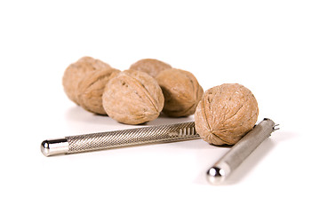Image showing Close up on Walnuts
