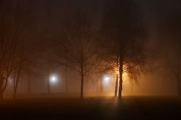 Image showing Foggy Mysterious Night