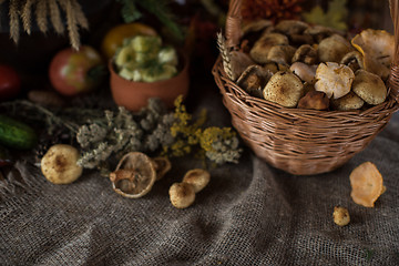 Image showing autumn nature gifts