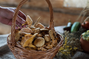 Image showing Different mushrooms in basket