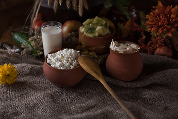 Image showing Organic domestic food