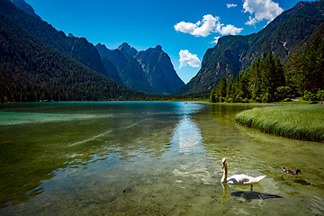 Image showing Lake Dobbiaco in the Dolomites, Italy