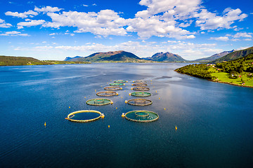 Image showing Farm salmon fishing Aerial FPV drone photography.