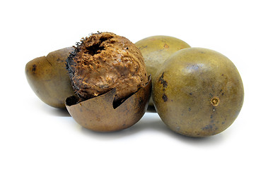 Image showing Lo Han Guo, Monk or Buddha fruit